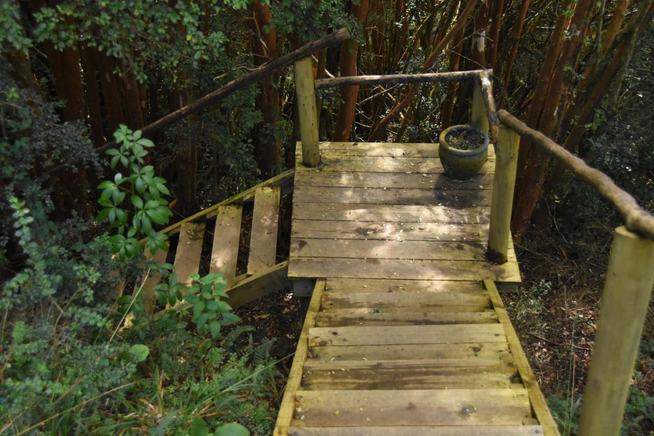 Casa Puente De Chiloe Villa Castro Dış mekan fotoğraf